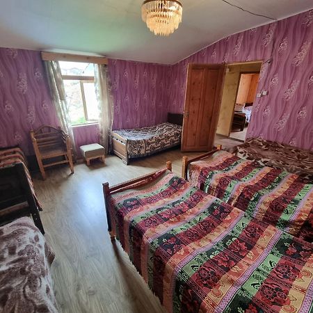 Guest House Buba Ushguli Eksteriør billede